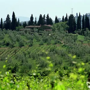  Country house Fattoria Casa Sola Italy